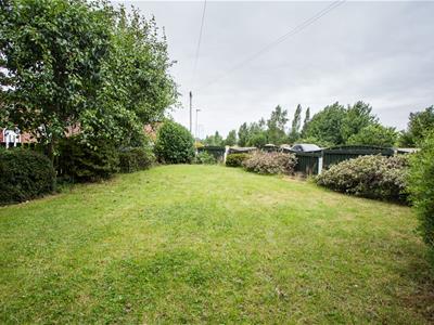 Picture 26
